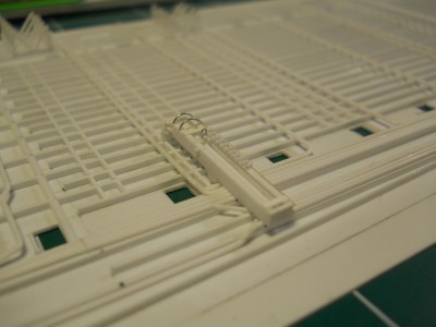 DSCN1286.JPG