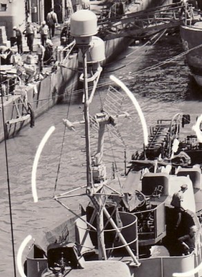 UltimateRCMmast TDY and DBM Antenna's in very sharpe view.jpg