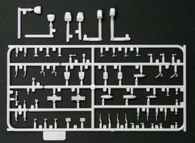 NE07 spw26_07b.jpg