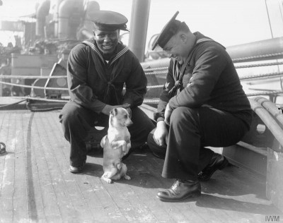 Ships mascot.