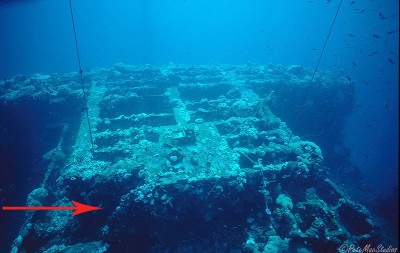 Shinkoku Maru bridge top access ladder, Truk Lagoon.jpg