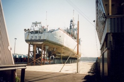 fraser small pic.jpg