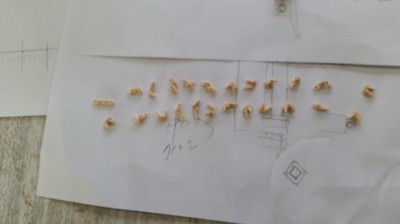 20161128_103648.jpg