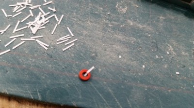 20161221_090141.jpg