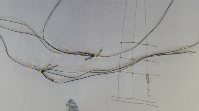 20161229_111240.jpg